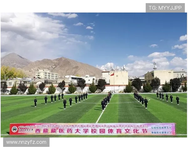 以体育精神为核心推动全民健康与社会和谐发展的时代新篇章